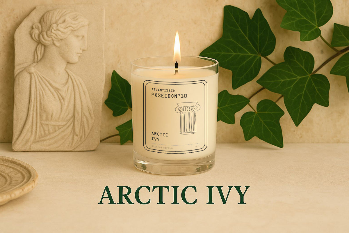 ARCTIC IVY