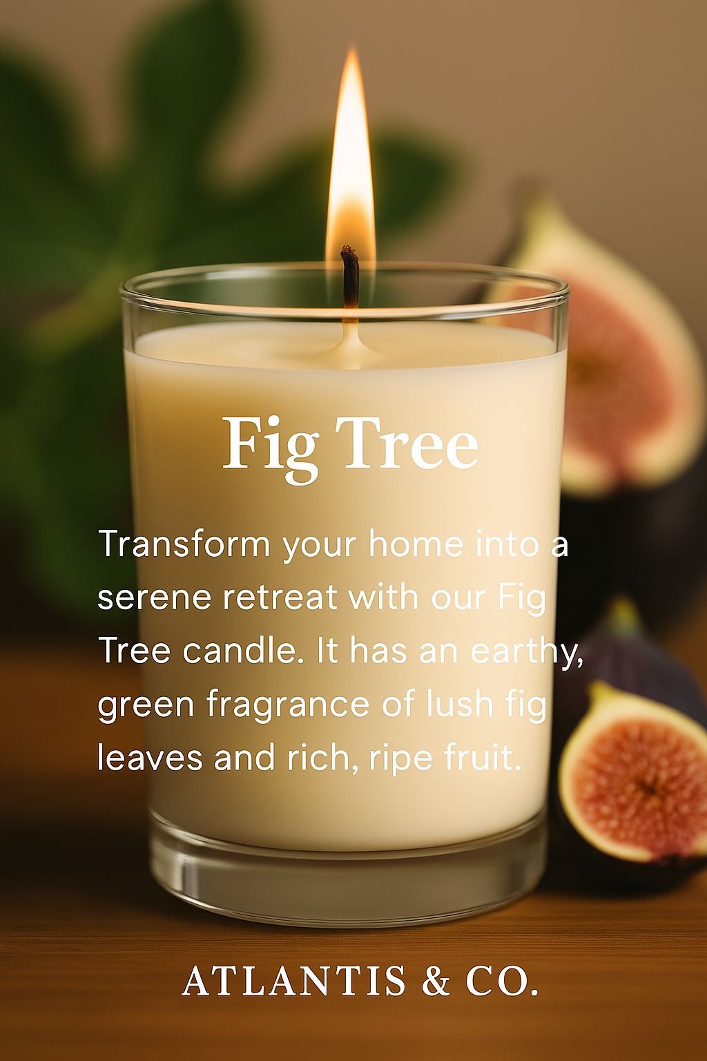 FIG TREE