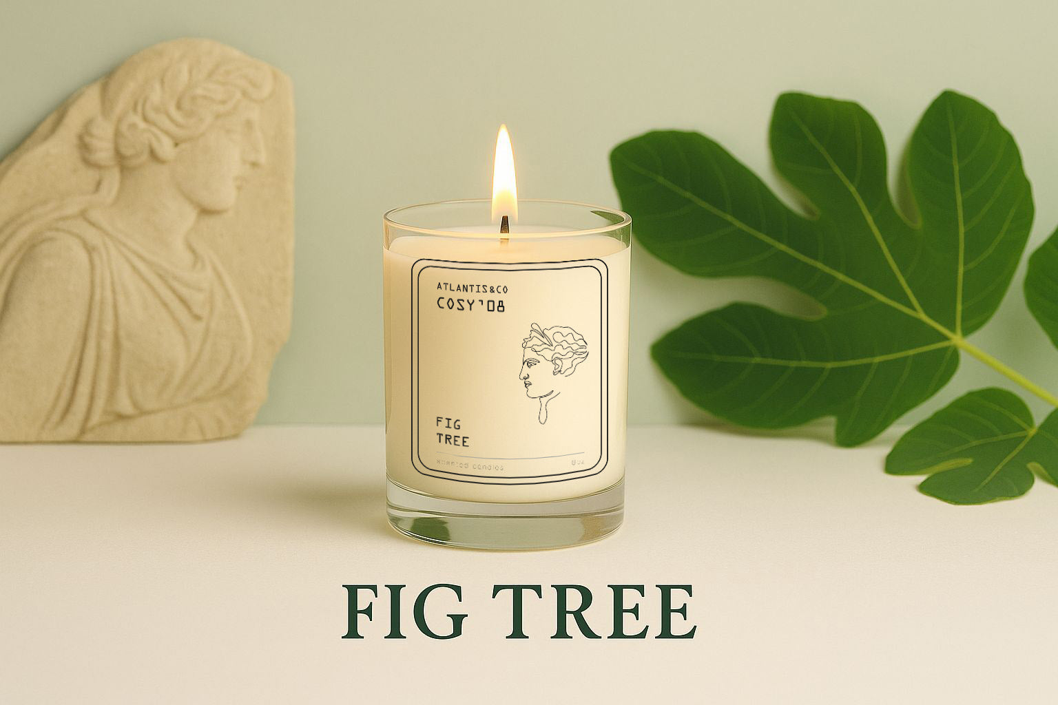 FIG TREE